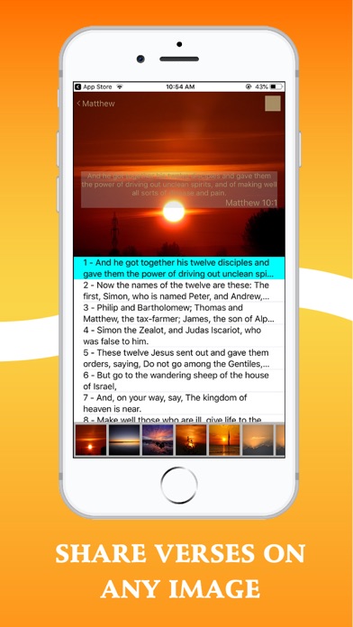 Bible In Basic English Pro Screenshot