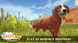 silly sheep run- farm dog game iphone screenshot 1