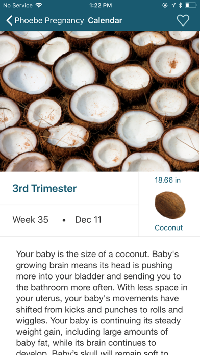 Phoebe Pregnancy Screenshot