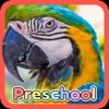 Wild Animal Preschool Games icon