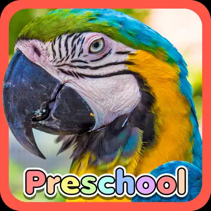 Wild Animal Preschool Games Читы