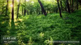 Game screenshot My Gallery hack