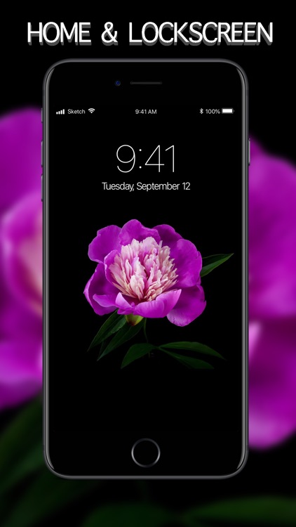 Live Wallpapers - ThemeRio