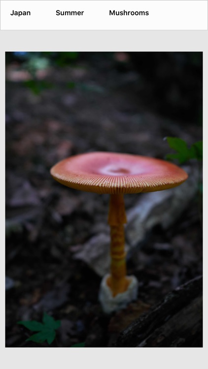 Albums - A simple album editor