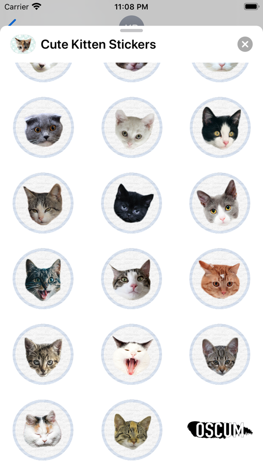 #4. Cute Kitten - Stickers (iOS) Göre: Colin Munroe