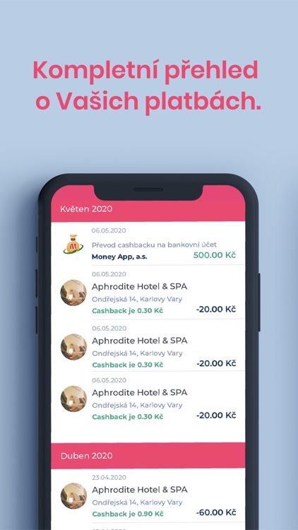 Money App screenshot-3