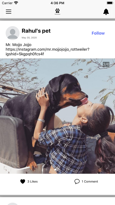 PetsMaloo 5