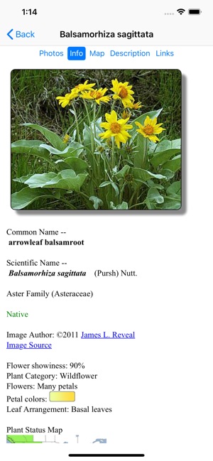 Colorado Wildflower Search(圖4)-速報App