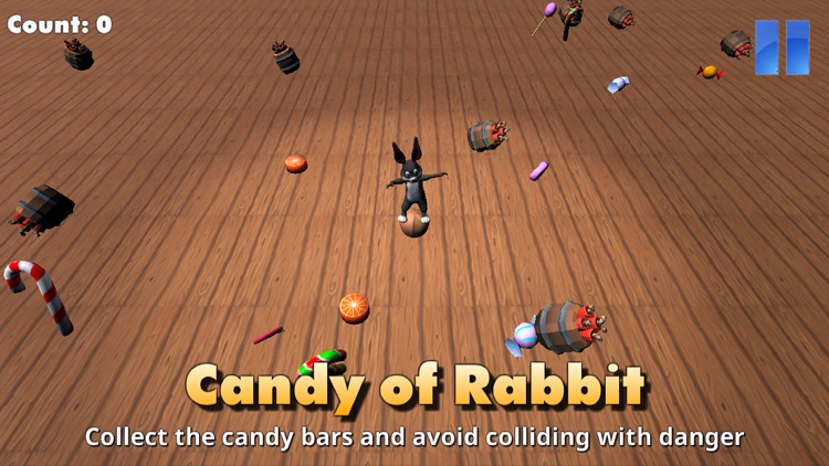 Candy Of Rabbit
