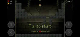 Game screenshot Tomb Roller apk