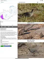 birds of zambia ipad images 3