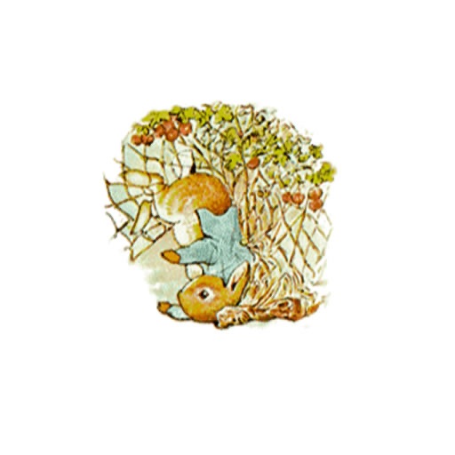 The Tale of Peter Rabbit Childrens Book by Beatrix Potter