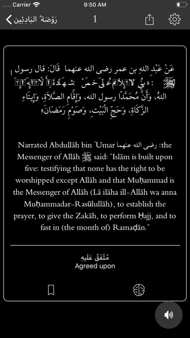 100 Hadeeth Screenshot