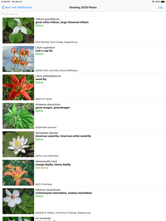 Screenshot #5 pour New York Wildflowers