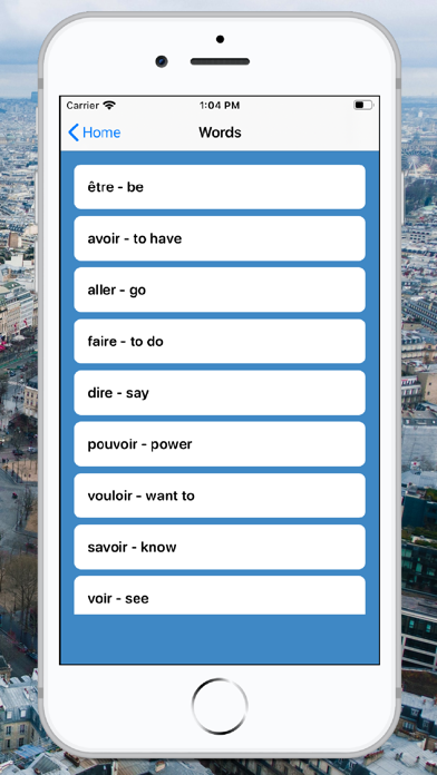 Screenshot #3 pour French Verb Quiz