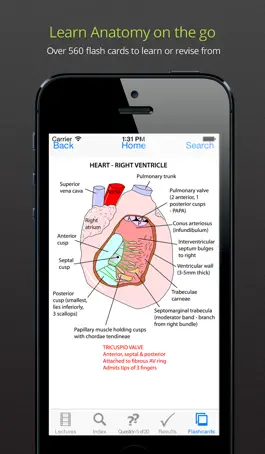 Game screenshot Instant Anatomy Anthology apk