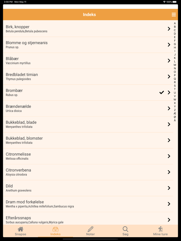 Screenshot #6 pour Kryddersnapse