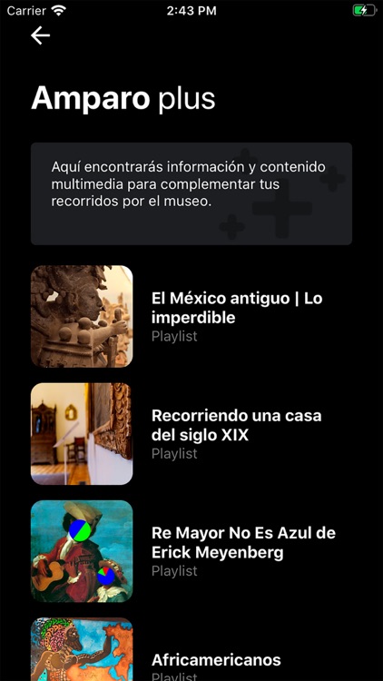 Museo Amparo Plus screenshot-3