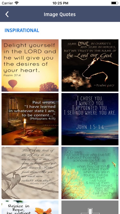 Arabic Bible screenshot-4