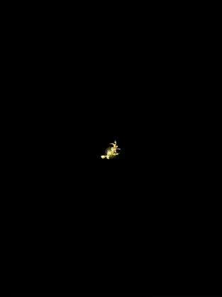 Screenshot 1 La Bruja de Oro iphone