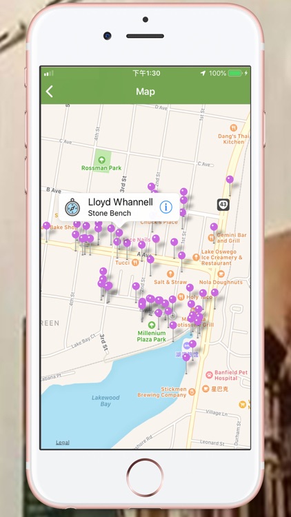 Wallless Gallery - Oregon