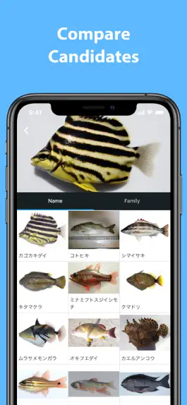 Game screenshot Mikke Fish ID apk