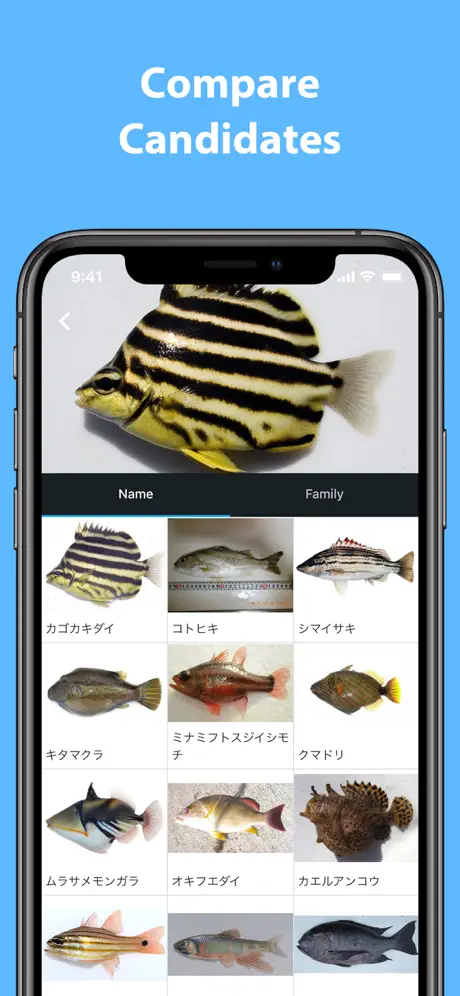 Mikke Fish ID