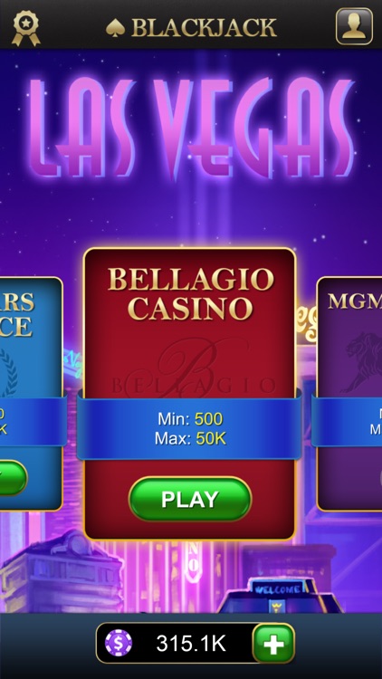 Blackjack Classic - Card Game screenshot-4