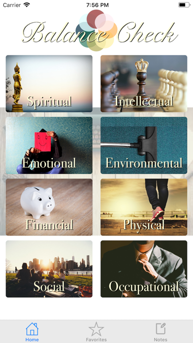 Balance Check iPhone screenshot 1 - Productivity app