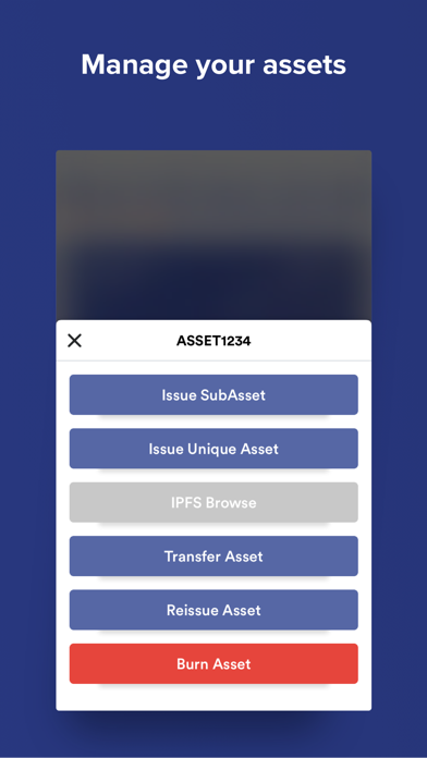 RVN Wallet Screenshot