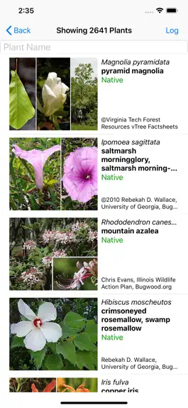 Game screenshot Louisiana Wildflowers apk