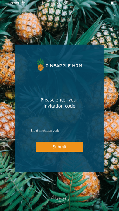 Pineapple HRM screenshot 3