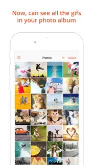 gif viewer - the gif album iphone screenshot 1