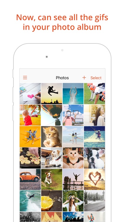 GIF Viewer - The GIF Album