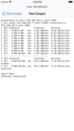 IPerf - Speed Test Tool iPhone image 3