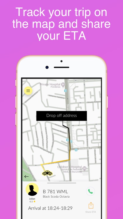 BlackCab screenshot-4