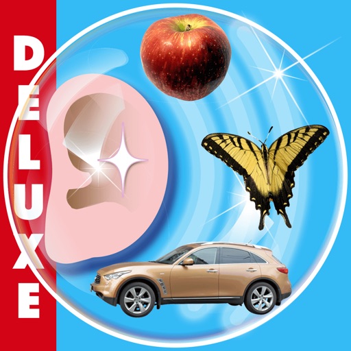 PHONEMIC AWARENESS BUBBLES Dlx icon