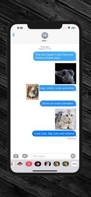 Super Cute Cats and Kittens(圖5)-速報App