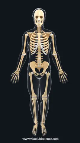 Game screenshot AR Skeleton Anatomy mod apk