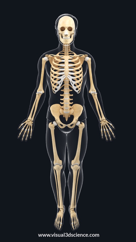 AR Skeleton Anatomy - 1.1 - (iOS)