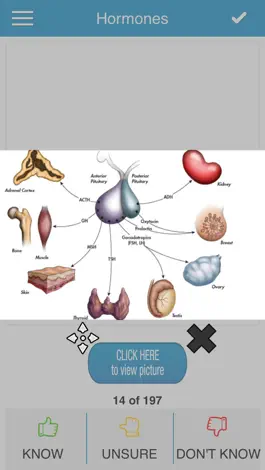 Game screenshot USMLE Bio/Physio Cram Cards hack