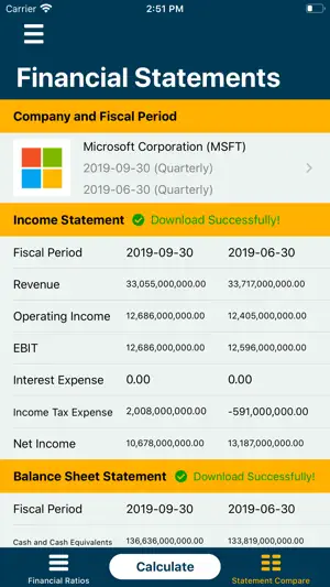 Financial Ratios Go: Analysis screenshot 3