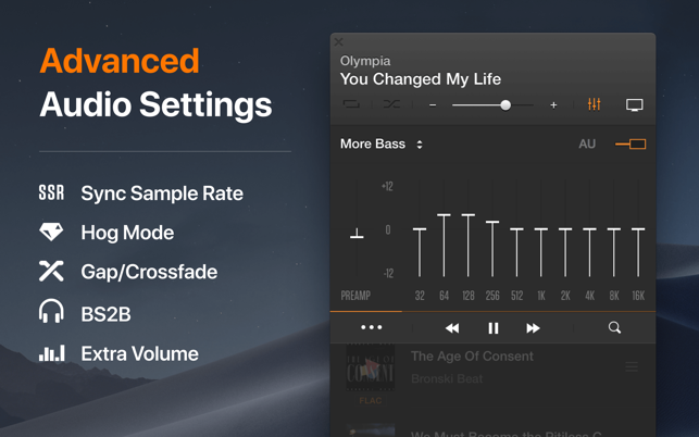 ‎VOX: MP3 & FLAC Music Player Screenshot