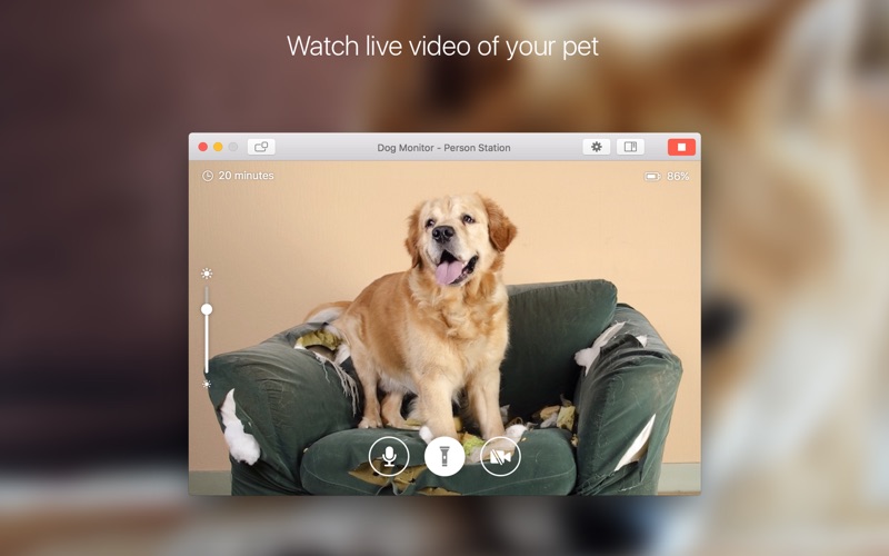 Screenshot #2 for Dog Monitor