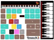 limouzik ipad images 1