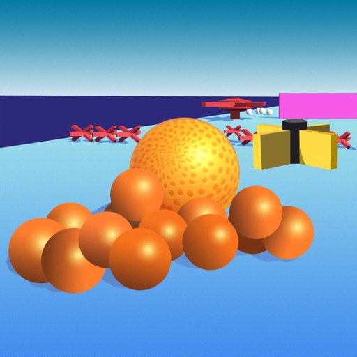 Pet Balls
