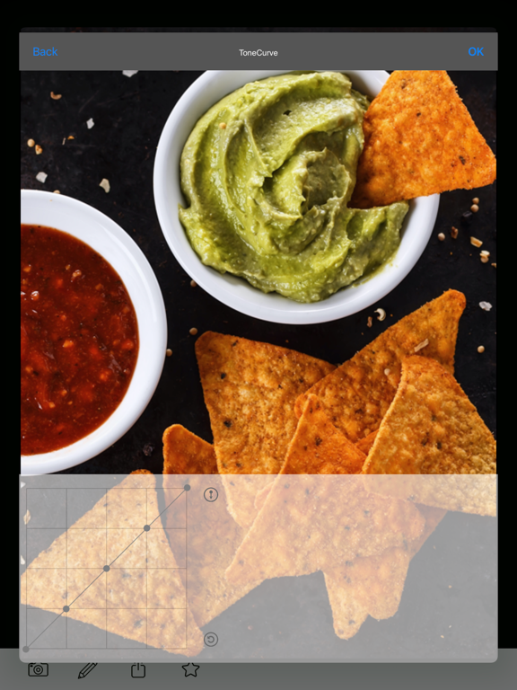 Food Picture Camera PRO iPad screenshot 7 - Food & Drink app