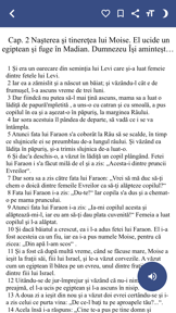 Biblia Ortodoxă screenshot
