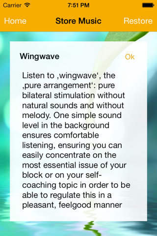 wingwave screenshot 3