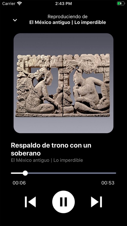 Museo Amparo Plus screenshot-5